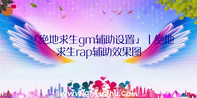 「绝地求生gm辅助设置」|绝地求生rap辅助效果图